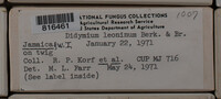 Image Associated With the Occurence